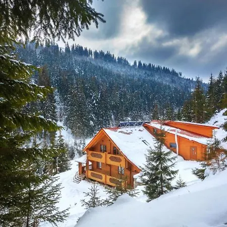 зірка міжгір'я Holiday home