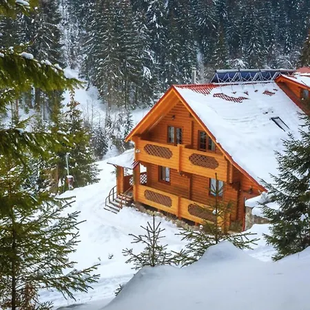 зірка міжгір'я Holiday home